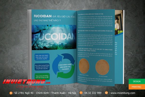 Mẫu catalouge Fucoidan, Mẫu catalogue giới thiệu sản phẩm đẹp ấn tượng